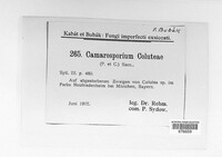 Image Associated With the Occurrence